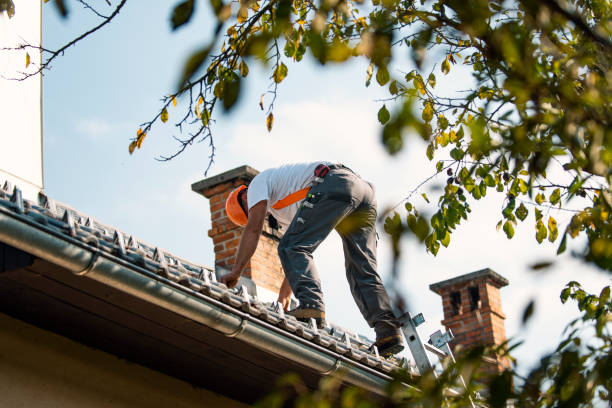 Best Flat Roof Repair Services  in Garrison, TX