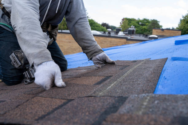 Gutter Installation and Roofing in Garrison, TX
